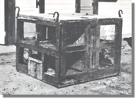 Diese Box befindest sich nun im Chinchilla-Museum USA