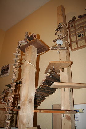 Chinchilla Auslauf Kletterturm