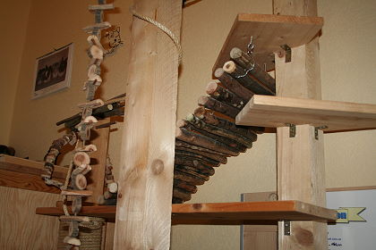 Chinchilla Auslaufkletterturm