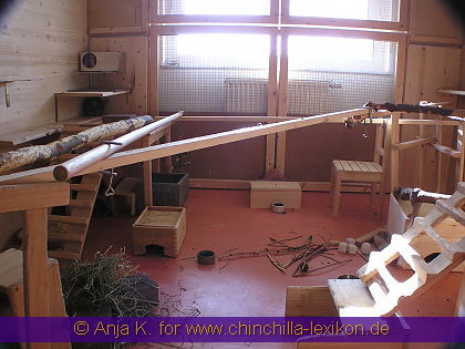 Chinchilla Zimmer 2 von Anja K.
