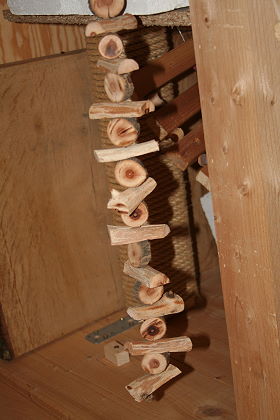 Nagematerial beim Auslauf