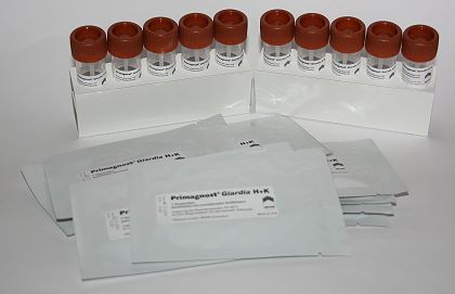 Giardia duodenalis Schnelltest