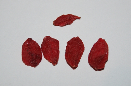 Große Goji Beeren heraussuchen