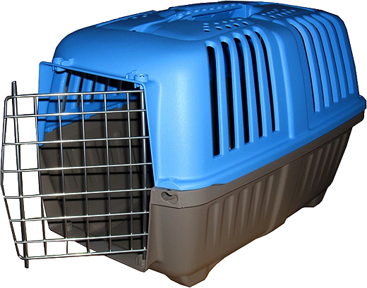 Transportbox für Katzen oder kleinere Hunde