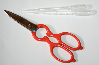 Pipetten und eine Schere