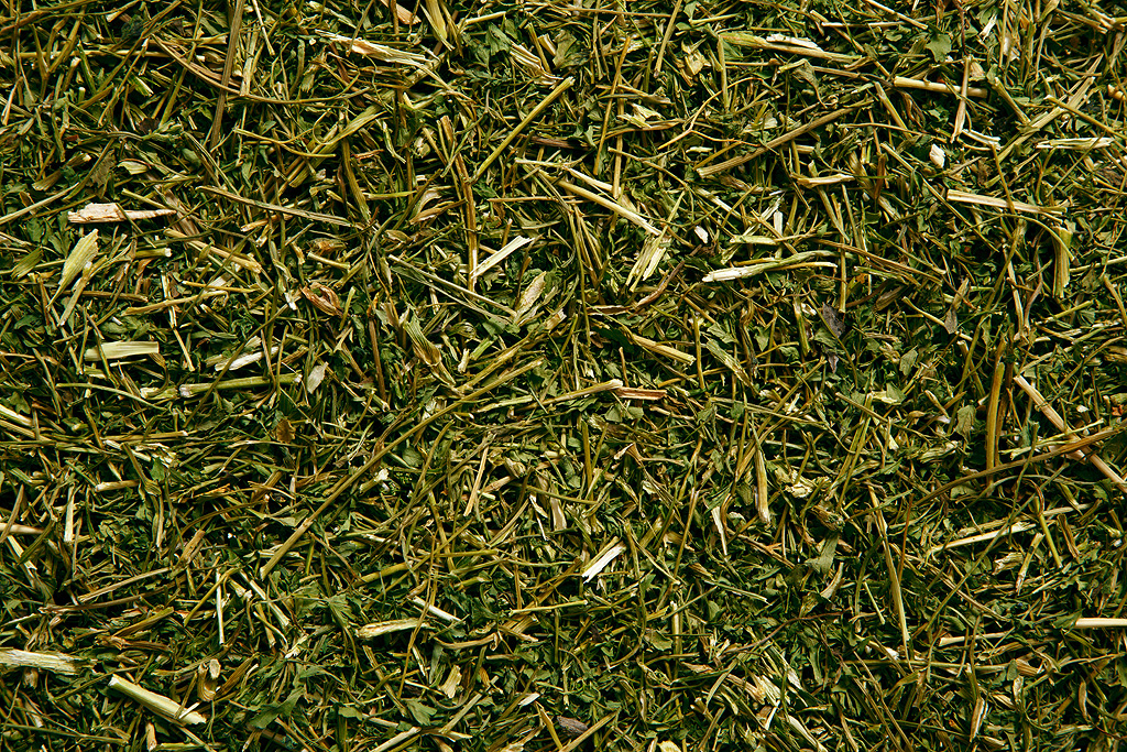 Petersilienstiele getrocknet - Petersilie getrocknet