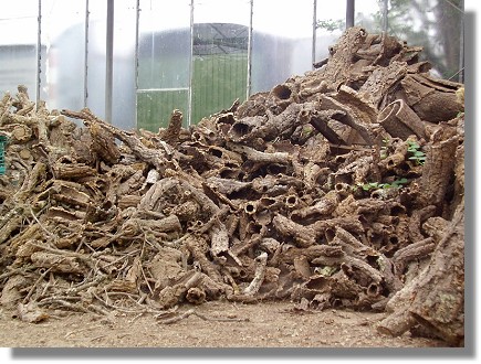 Korkröhren in allen Größen