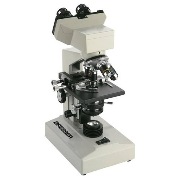 private Chinchilla Laboratory